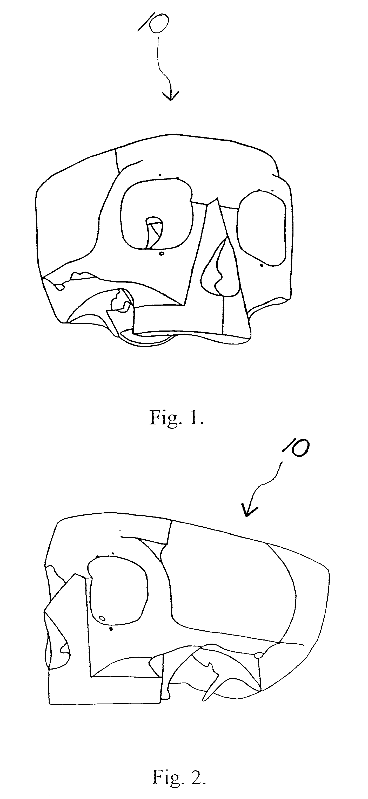 Paper-skull-model system