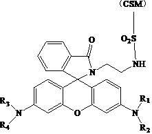 Rubber with fluorescence response to pH value and preparation method thereof