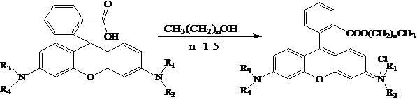 Rubber with fluorescence response to pH value and preparation method thereof