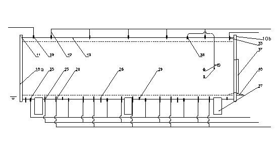 Multi-field coupling efficient automatic salting device of preserved egg and salted egg and control method