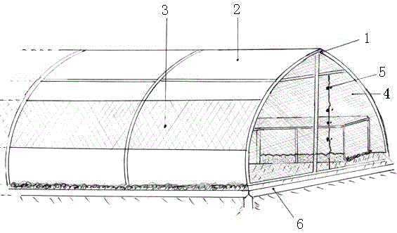 High-yield grasshopper culture method