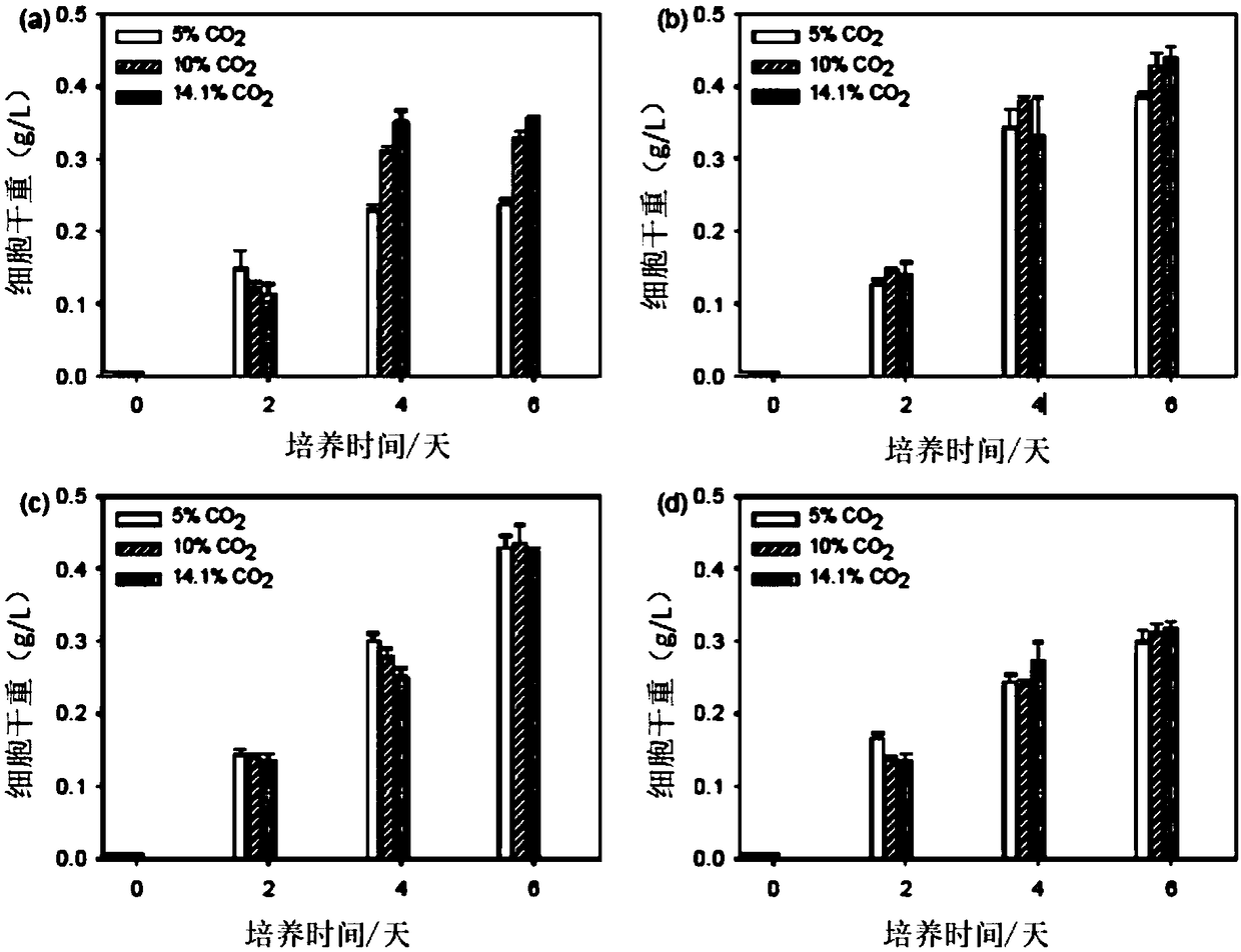 Research method of S.obliquus culture in mixotrophic mode for wastewater flue gas treatment