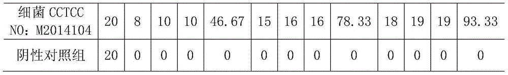 Pantoea agglomerans with molluscicidal activity and application thereof