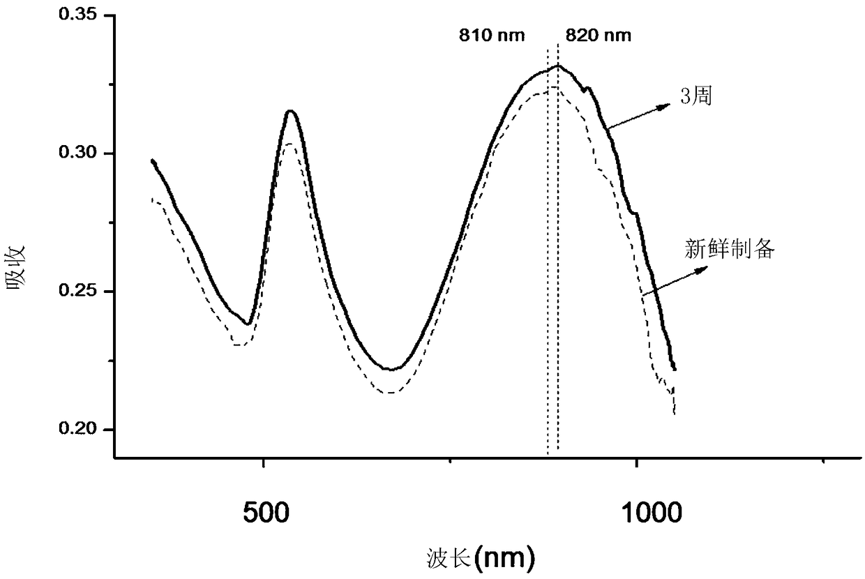 Cells loaded with gold nanoparticles for use in the diagnosis and/or treatment of melanoma