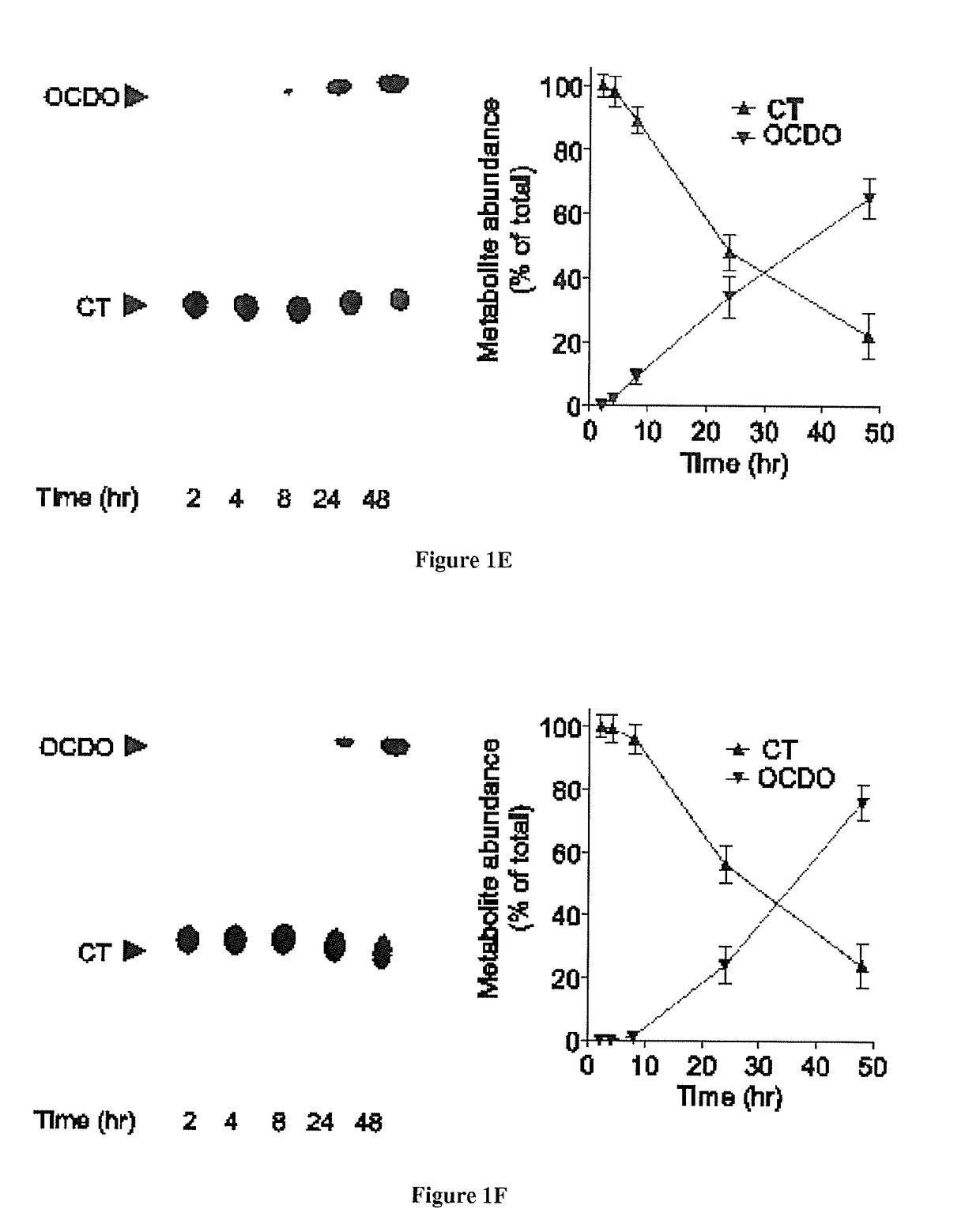 Methods of diagnosing and treating cancer