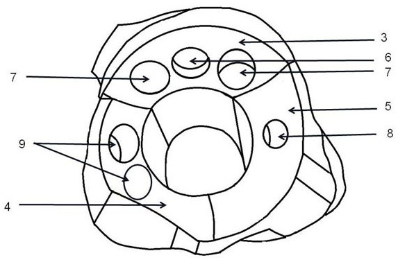 3D printing expansion press-fit type acetabular revision prosthesis