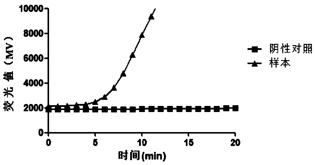 Primer group, probe and kit for detecting schistosoma haematobium