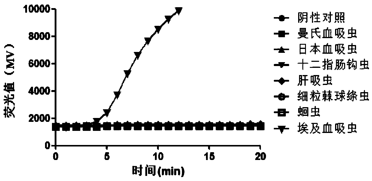 Primer group, probe and kit for detecting schistosoma haematobium