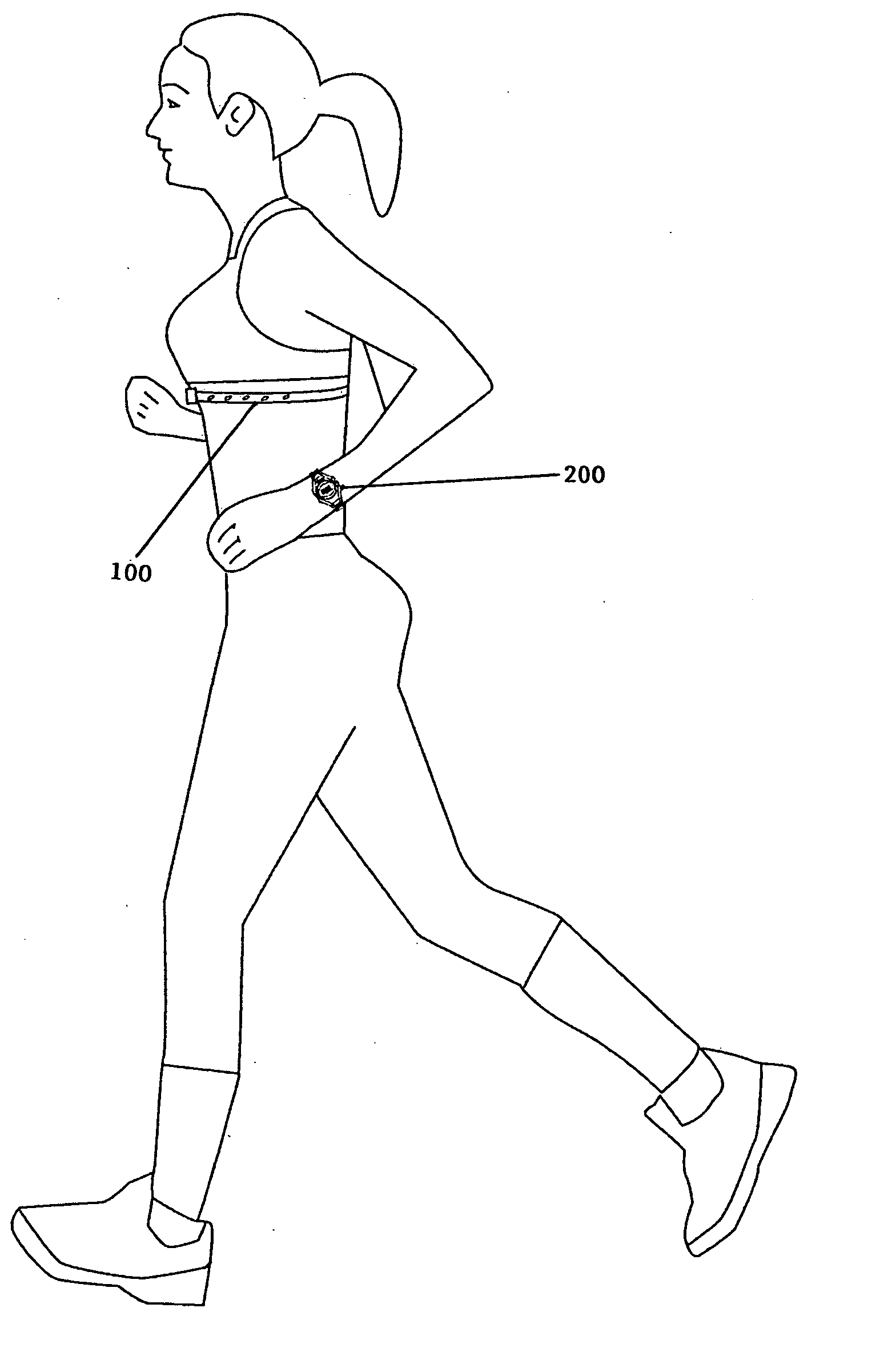 Exercise data apparatus