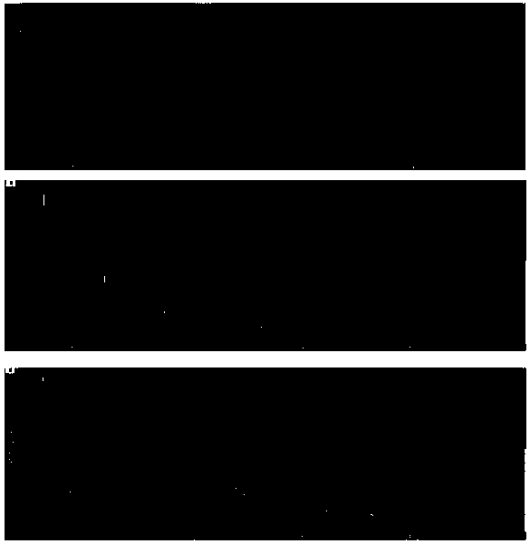 Preparation method of zeolite imidazole framework material hybridized silicon ball