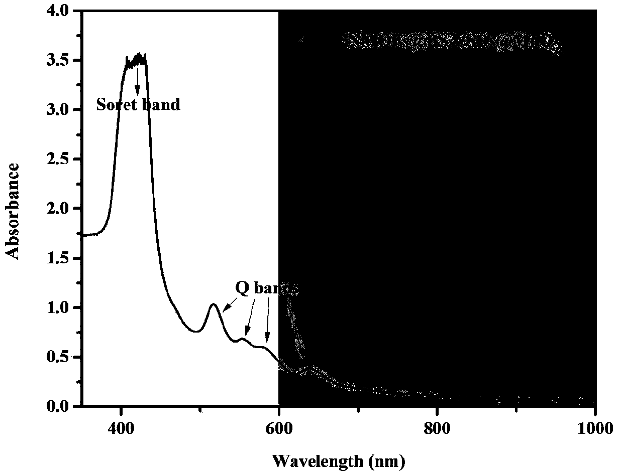 Nano carrier for tumor photo-dynamics therapy (PDT) and preparation method thereof