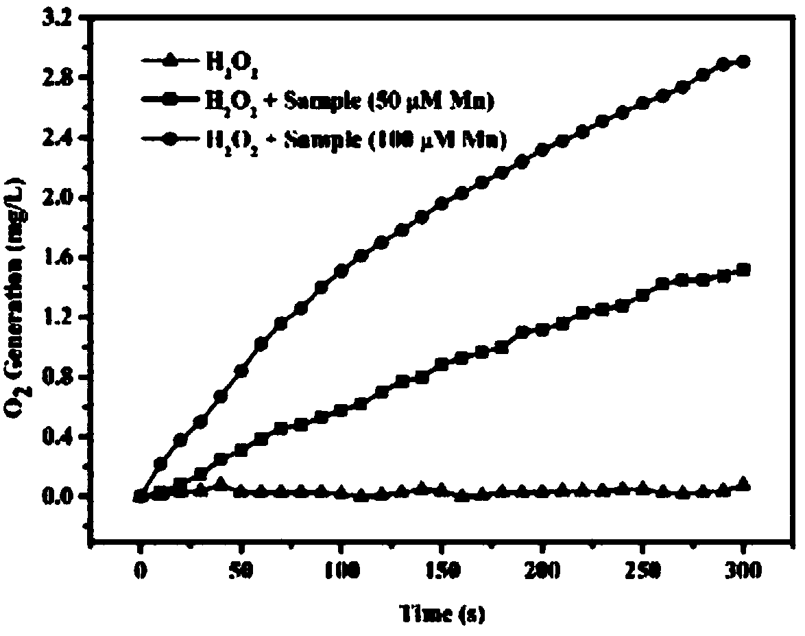 Nano carrier for tumor photo-dynamics therapy (PDT) and preparation method thereof