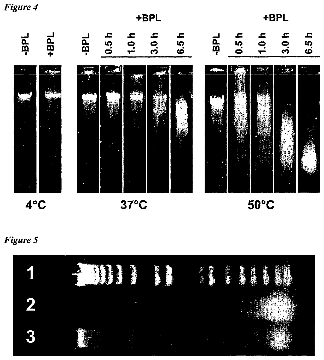 Cell-derived viral vaccines with low levels of residual cell DNA