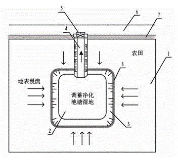 Irrigated area dry land sheetflow type water drainage, regulation and storage purification wet land built system