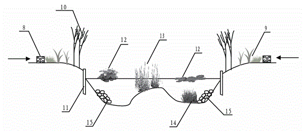 Irrigated area dry land sheetflow type water drainage, regulation and storage purification wet land built system