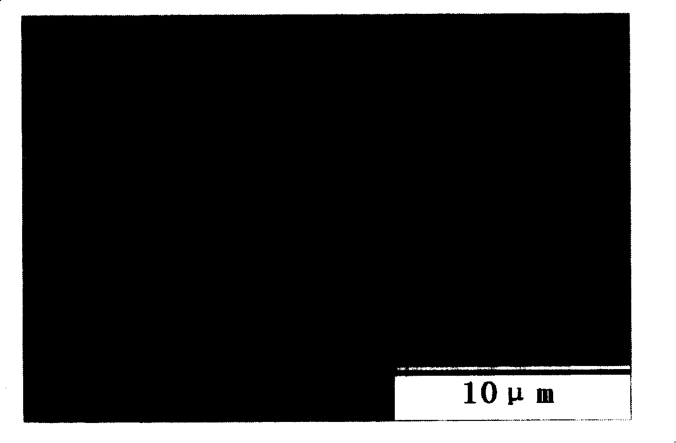 Method for combustion synthesis of silicon nitride powder by using polytetrafluoroethylene as additive