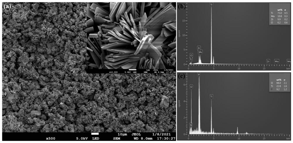 Titanium-molybdenum-zirconium metastable beta titanium alloy surface modification method