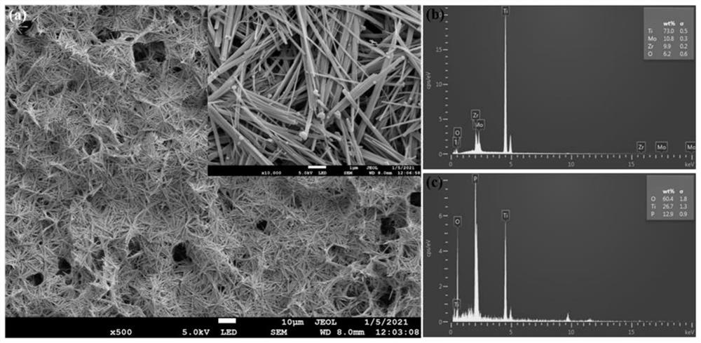 Titanium-molybdenum-zirconium metastable beta titanium alloy surface modification method