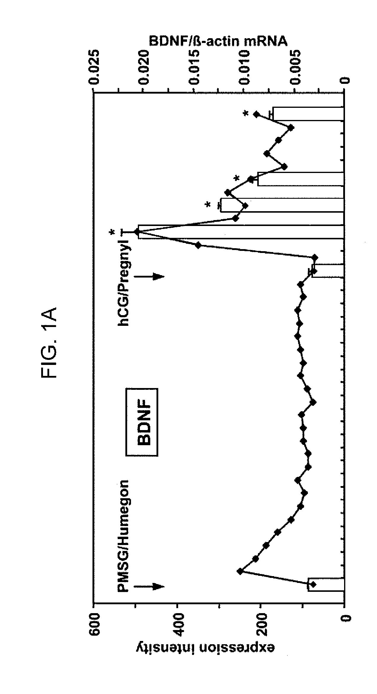 Facilitation of oocyte, zygote and pre-implantation embryo maturation