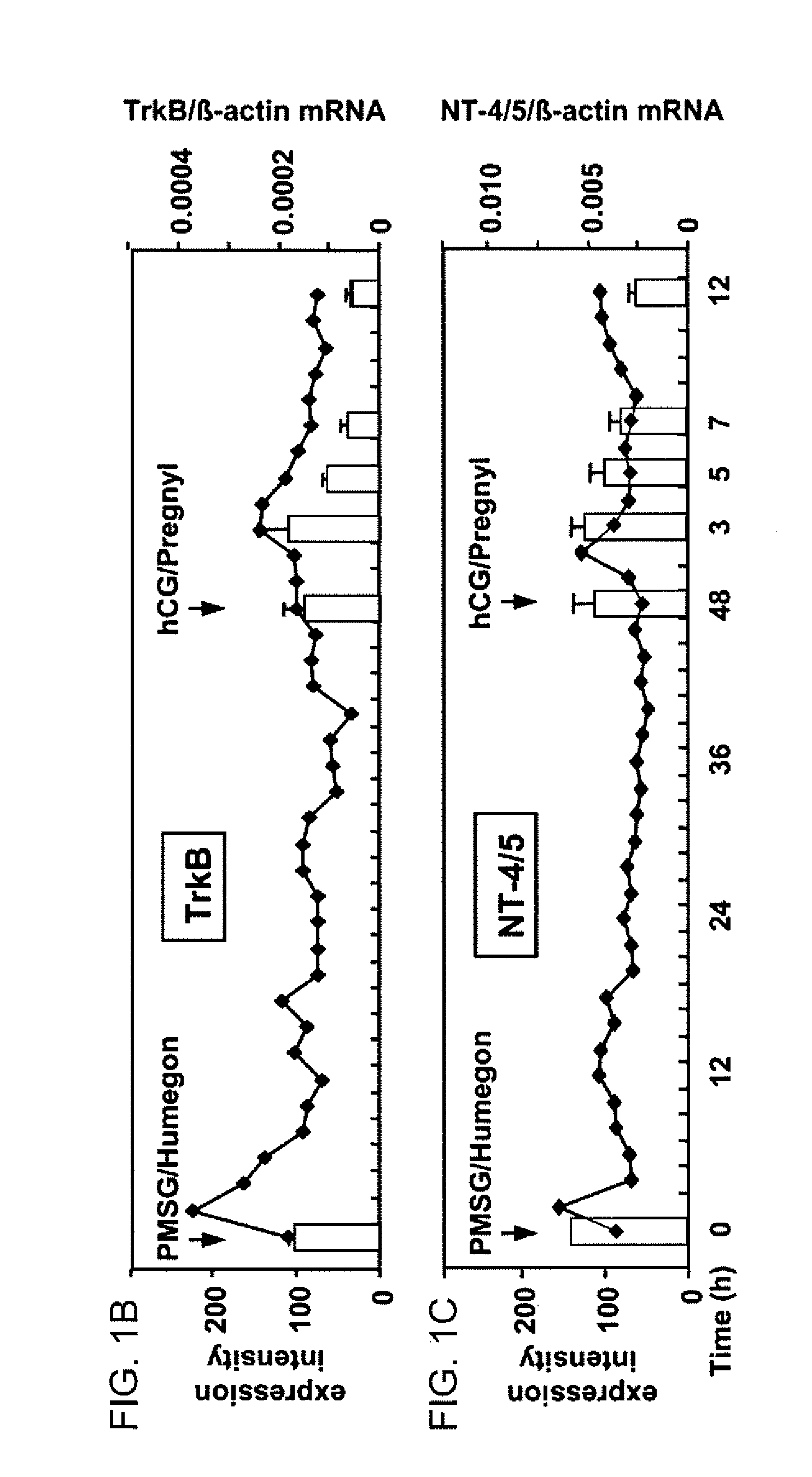 Facilitation of oocyte, zygote and pre-implantation embryo maturation