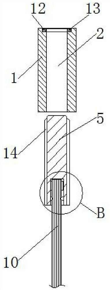 Grafting type wig, wig grafting tool and wig grafting method