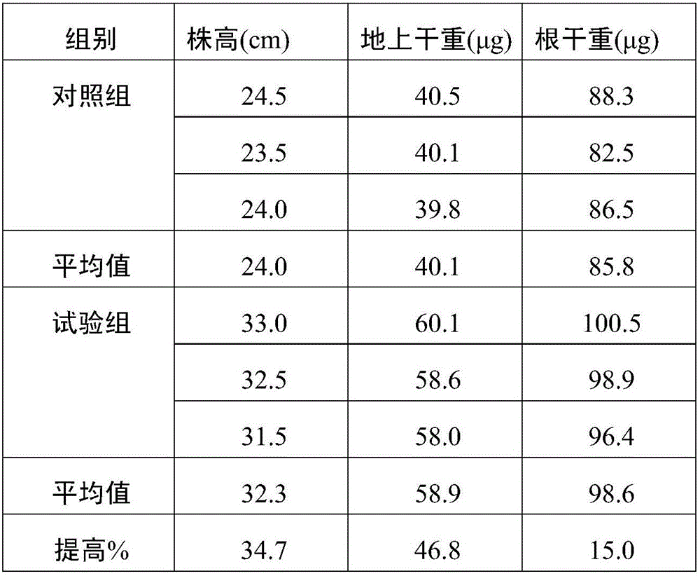 Screening method of growth-promoting bacterial strain for improving salt tolerance of crops