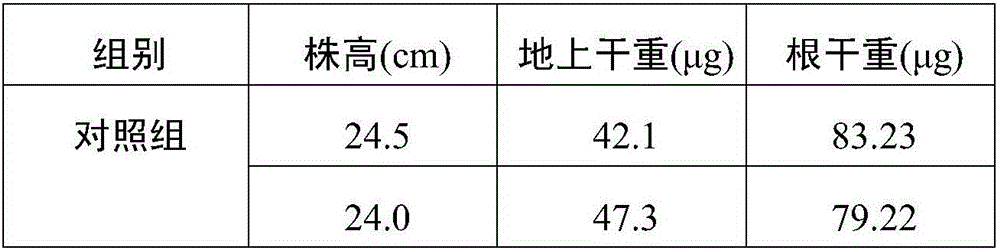 Screening method of growth-promoting bacterial strain for improving salt tolerance of crops