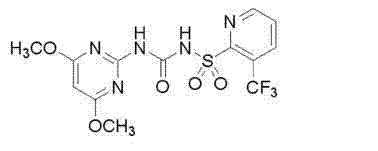 Weed control composition containing ametryn, sulfentrazone and flazasulfuron and application thereof