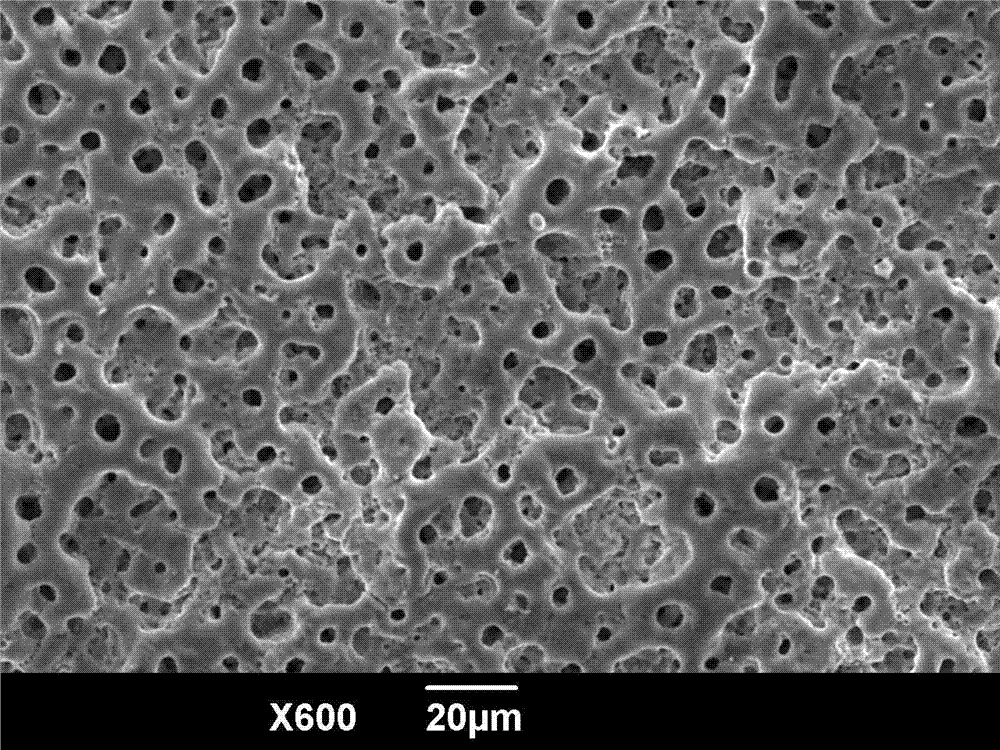 Preparation technology of hydroxyapatite-containing composite biological film on titanium-base surface