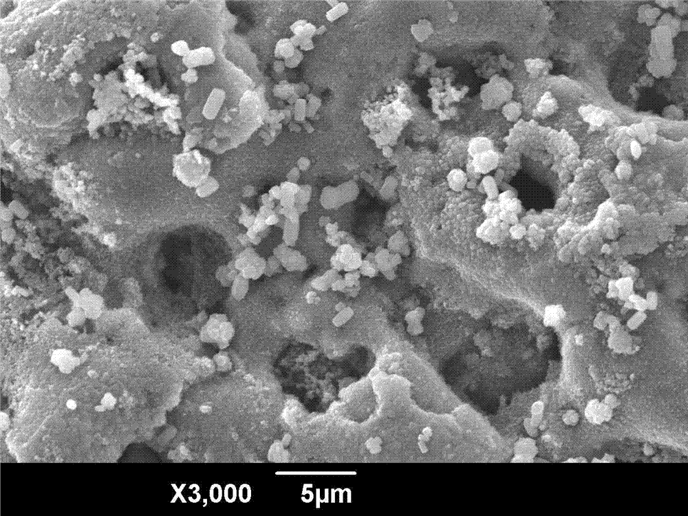 Preparation technology of hydroxyapatite-containing composite biological film on titanium-base surface