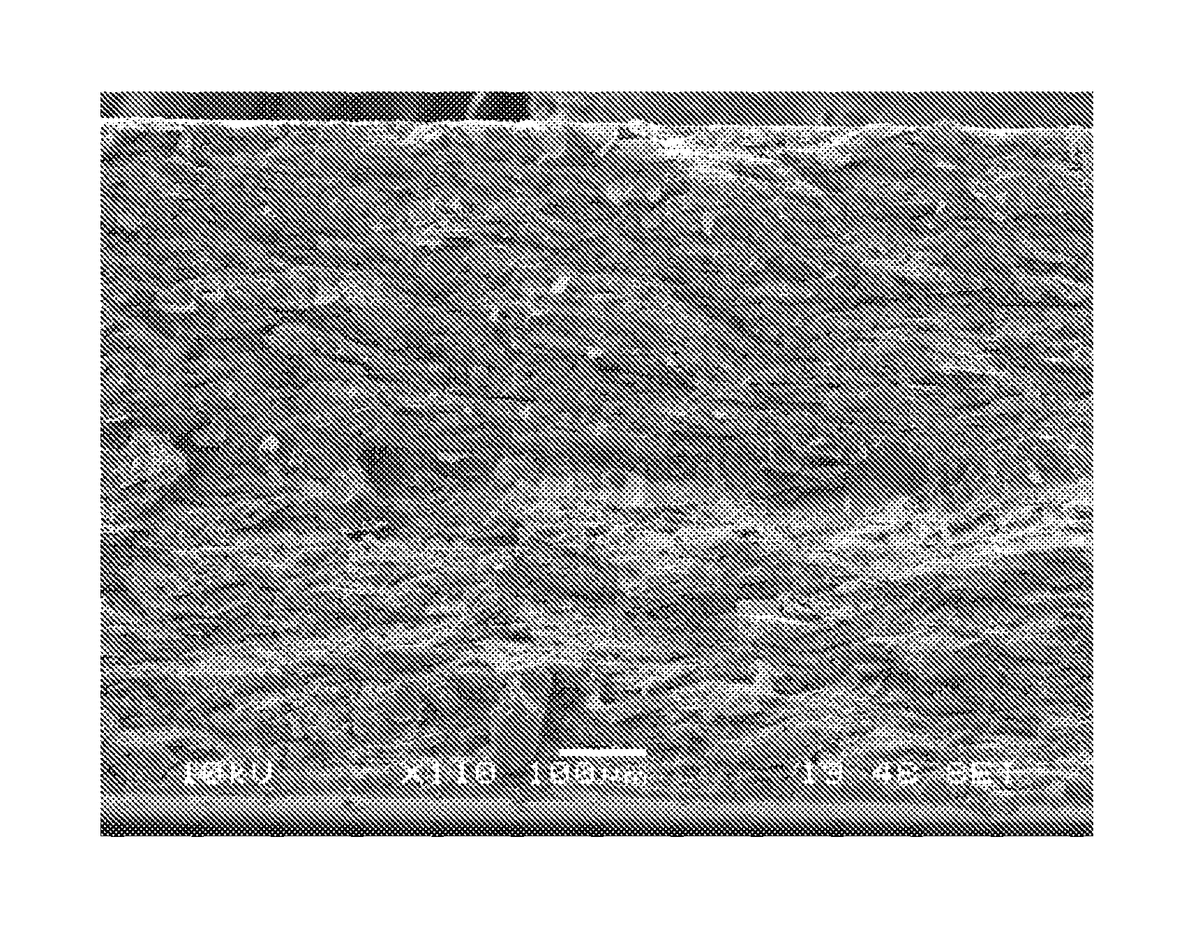 Highly thermally conductive resin molded article