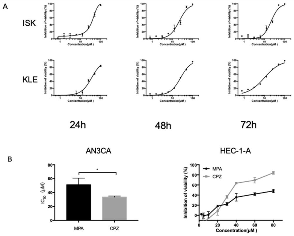 Application of chlorpromazine hydrochloride in treatment of endometrial cancer