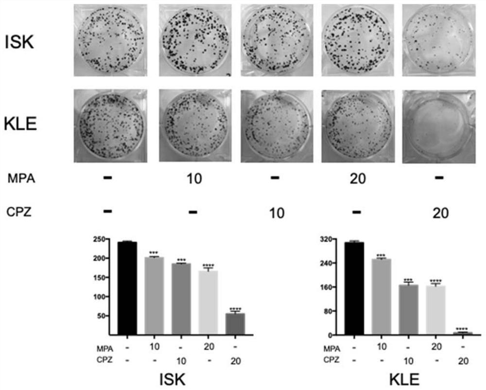 Application of chlorpromazine hydrochloride in treatment of endometrial cancer