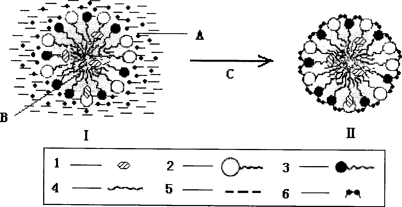 Paclitaxel freeze drying microemulsion for injection and method of producing the same