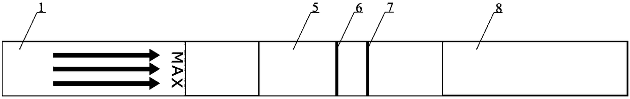 Colloidal gold labeled test strip for rapidly detecting trace fipronil and preparation method of colloidal gold labeled test strip