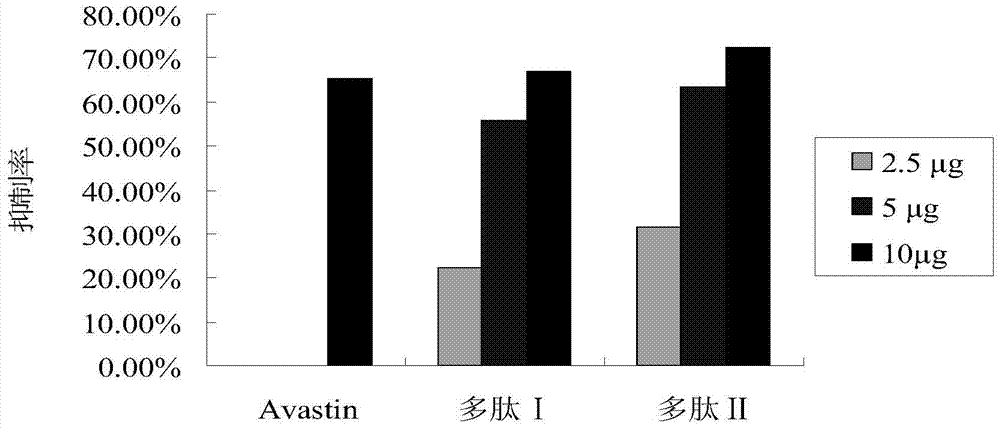 Integrin blocker polypeptide and its application in the preparation of drugs for the treatment of neovascular eye diseases