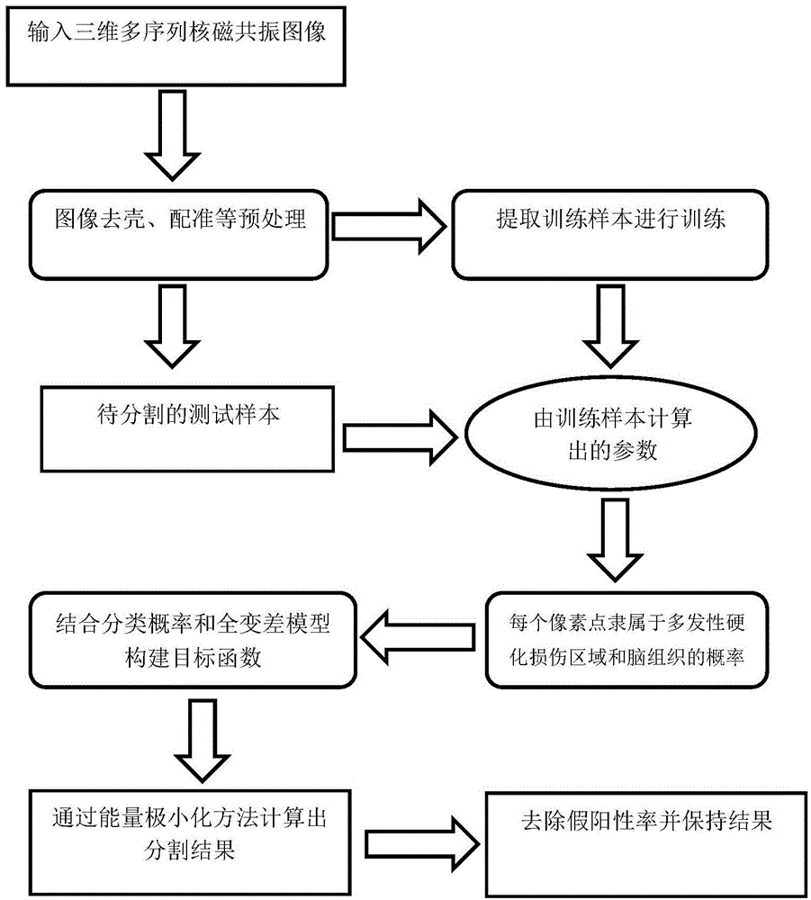 Partition method for multiple-sclerosis damage area