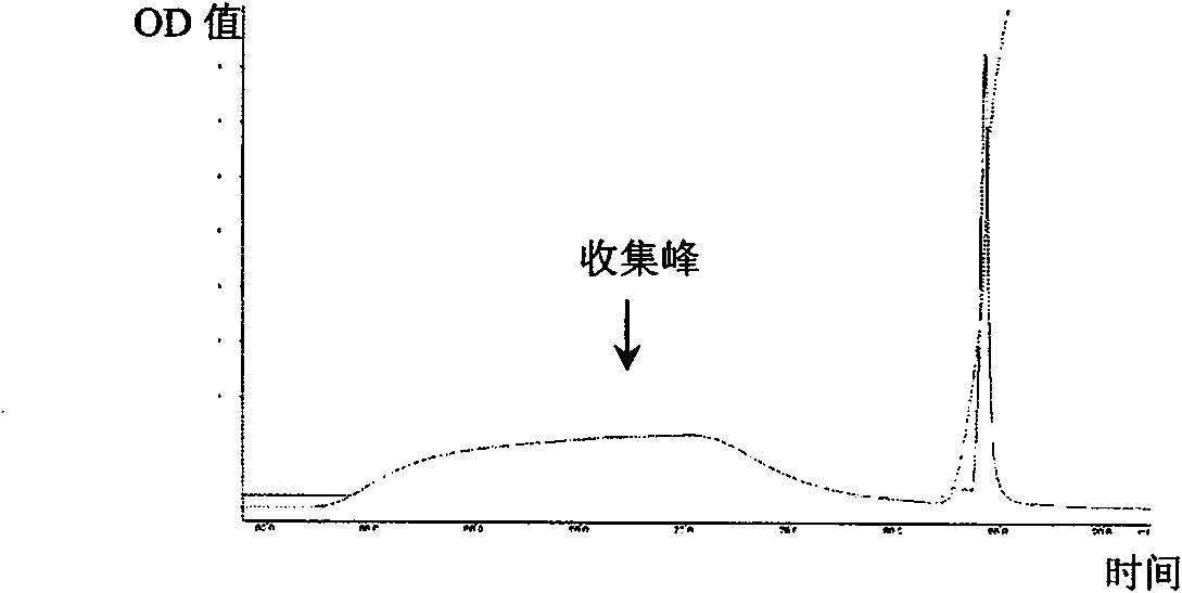 Antiviral protein and preparation method and application thereof