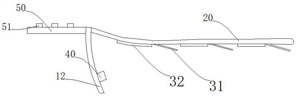 Tongue phototherapy device and phototherapy method