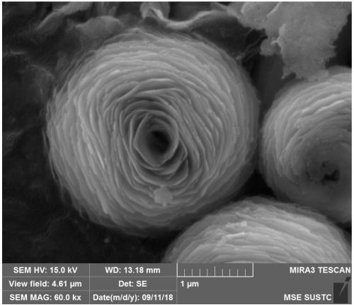 Method for preparing camellia-flower-shaped nickel-based catalyst used for treating alkaline dyeing and finishing wastewater