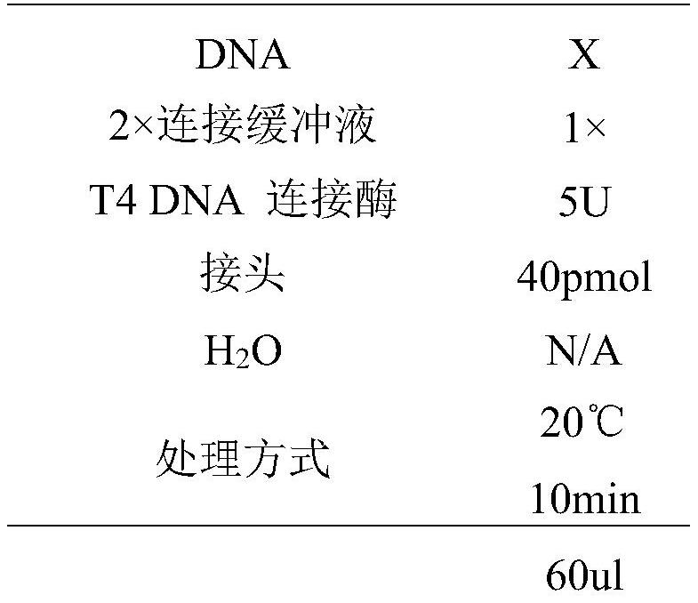 Buffer solution and application thereof