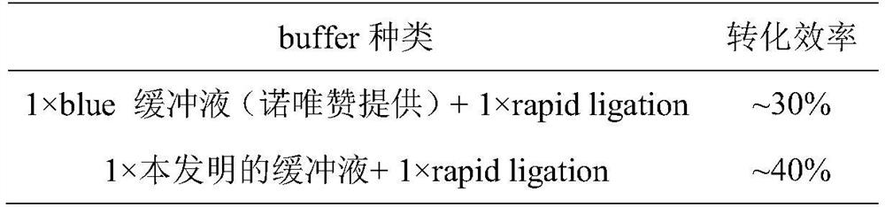 Buffer solution and application thereof