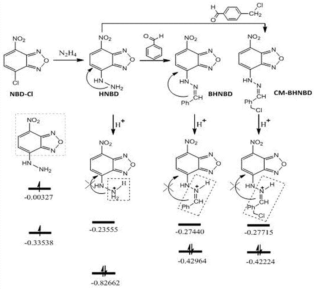 Preparation method and application of pH fluorescence probe