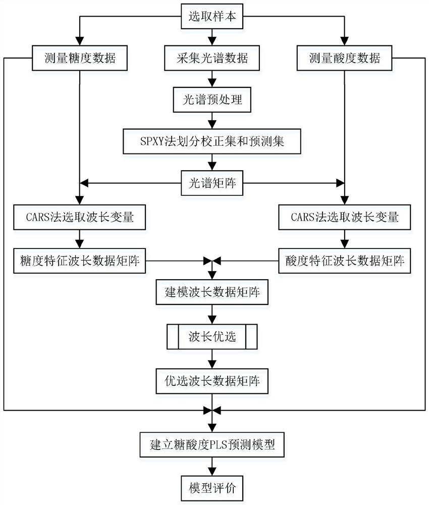 Nondestructive testing method for sugar degree and acidity of fruits based on spectral wavelength optimization