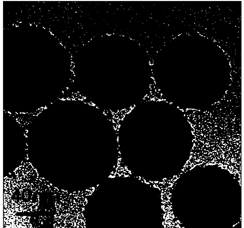 High-brightness non-toxic fluorescent quantum dot nanometer composite probe and preparation method thereof