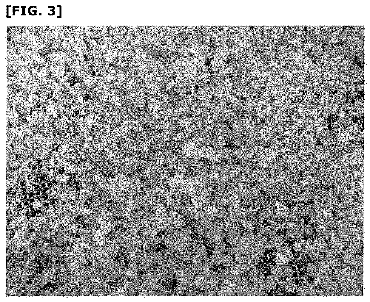 Method for manufacturing peeled nuts