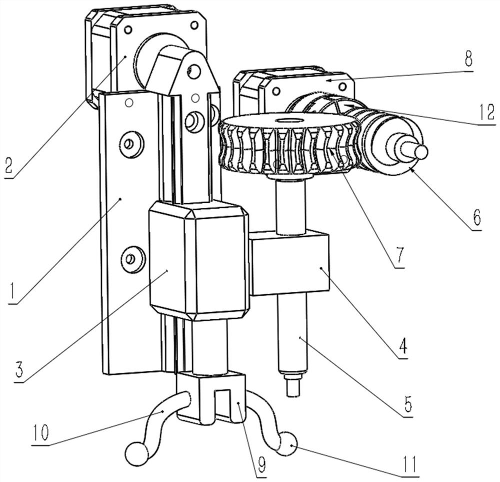 Superficial vein blood vessel fixing device and fixing mechanism