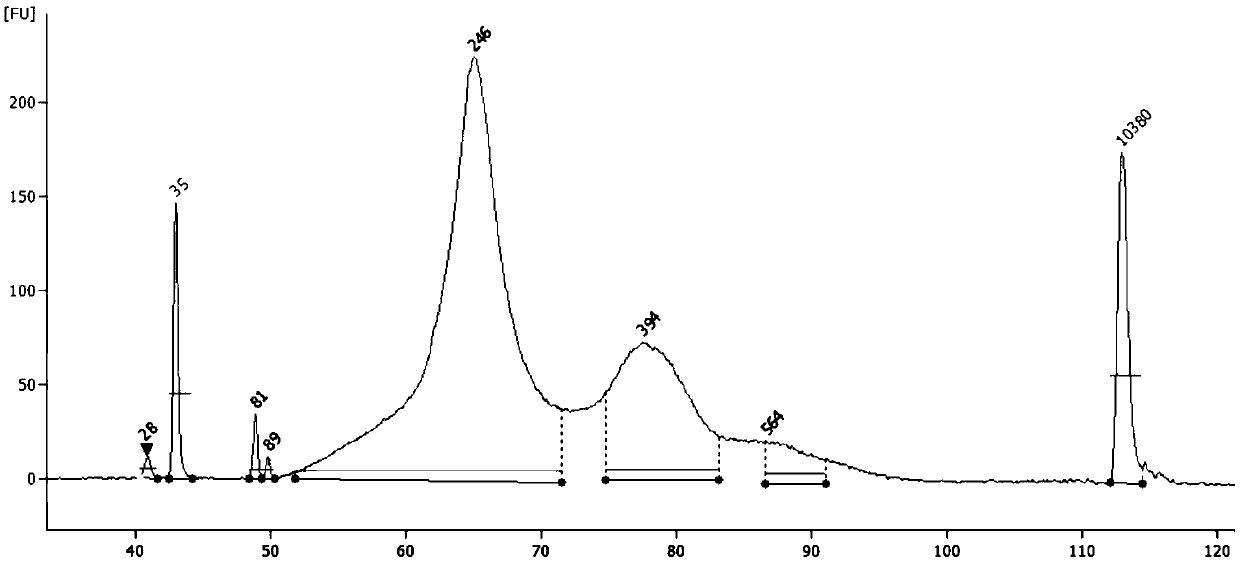 Construction method of high-throughput sequencing library suitable for single-stranded DNA