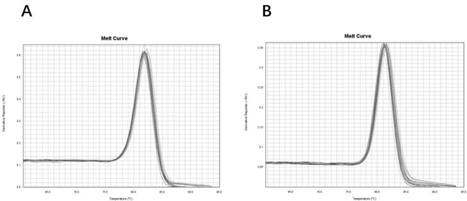 Application of miR-29a-3p in preparation of toxic diffuse goiter diagnosis product