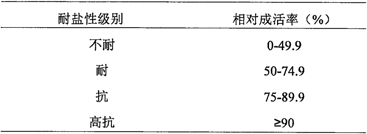 Method for identifying salt tolerance of cotton in seedling period